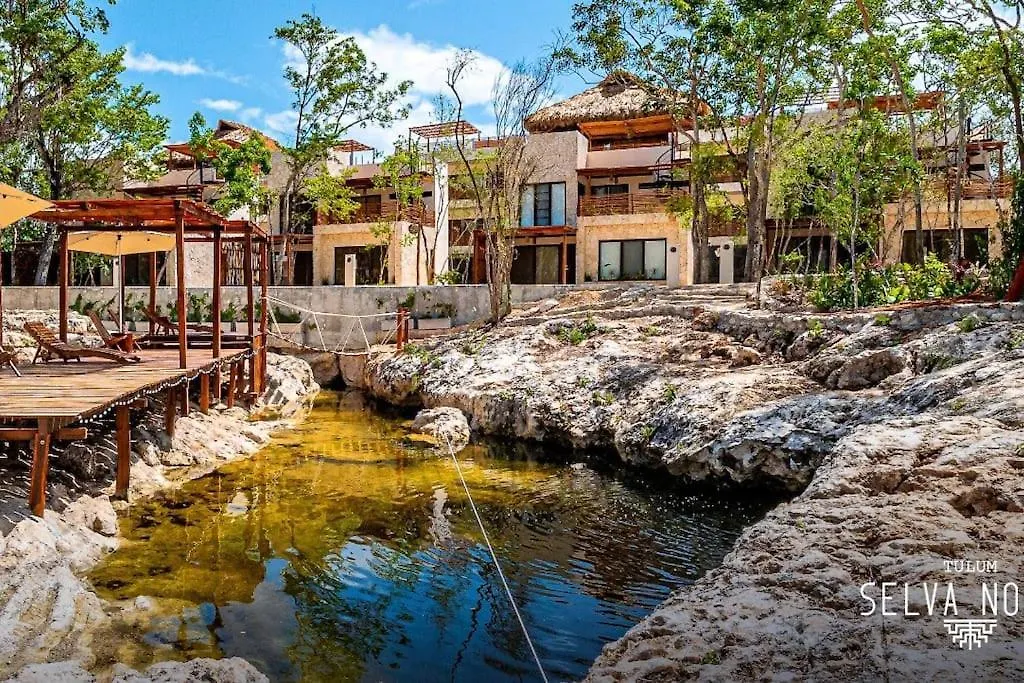 Appartamento Private Rooftop Penthouse With Pool, Bbq & Jungle View Tulum Messico