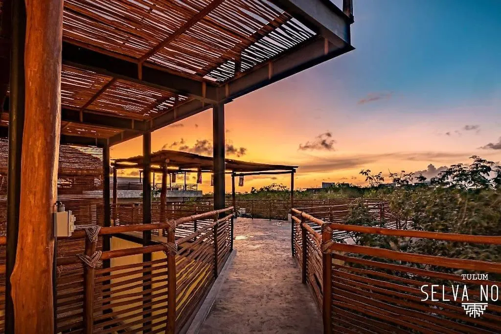 Appartamento Private Rooftop Penthouse With Pool, Bbq & Jungle View Tulum Messico